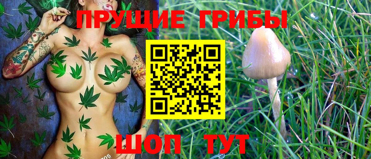 Псилоцибиновые грибы Magic Shrooms  Вход с VPN  цены   Кудымкар  Галлюциногенные грибы мицелий 