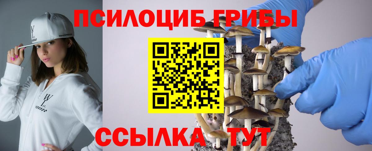 Галлюциногенные грибы GOLDEN TEACHER Кудымкар
